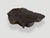 Andrianna Shamaris Amorphous Charred Coffee Table For Sale - Image 11 of 18