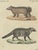 Antique Asian Civets & Kopi Luwak Natural History Engraving Bertuch, 1820 For Sale - Image 3 of 10