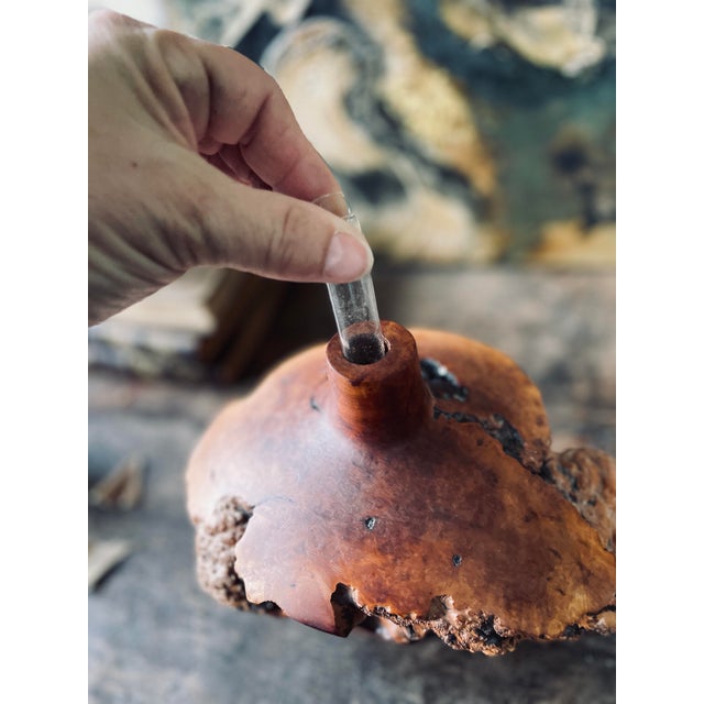 Wood Artist Berglund Signed Burled Wood Vase For Sale - Image 7 of 12