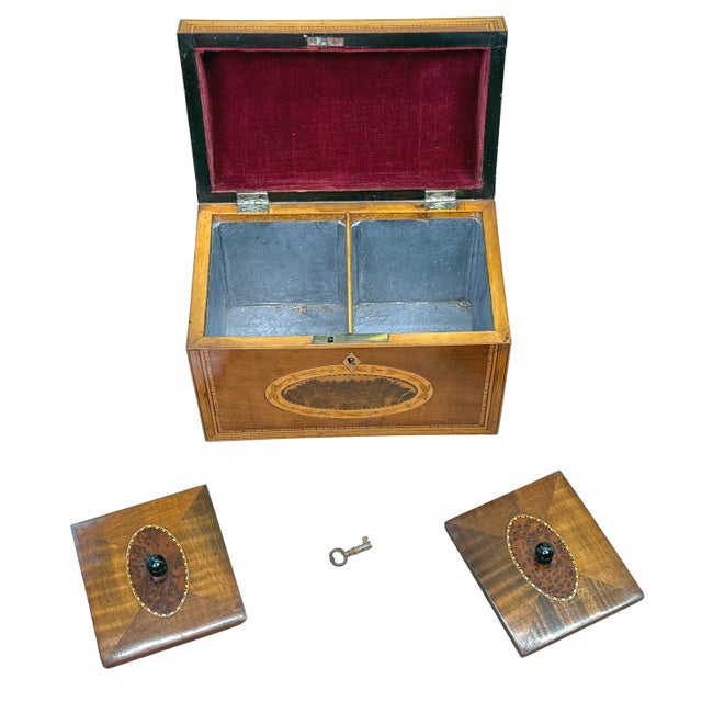 18th Century George III Harewood and Black Thorn Tea Caddy, 1790 For Sale - Image 4 of 9