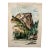 Henry Emil Salloch Original Watercolor on Paper Hallets Peak and Nymph Lake, 1958. For Sale