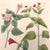 Original c.1730 hand-colored botanical mezzotint by Johann Wilhelm Weinmann, from Phytanthoza Iconographia, one of the...