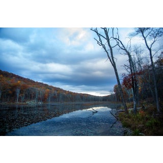 "Benjamin Meadow 2" Original Landscape Color Photograph by Michael Filonow For Sale