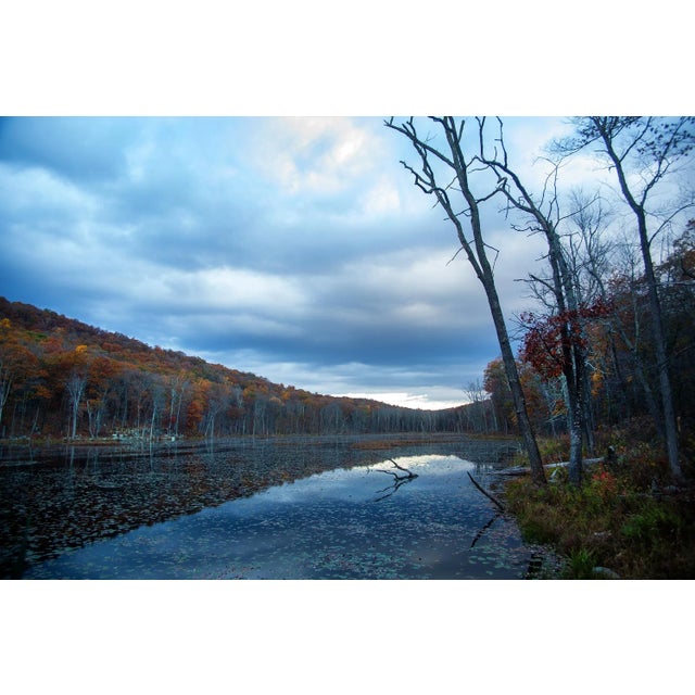 "Benjamin Meadow 2" Original Landscape Color Photograph by Michael Filonow For Sale