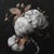 2020s Set of 4 - Art Wall Installation 40" X 40" - 'Blossoming Flowers' - Limited Edition Botanical Photograph Prints For Sale - Image 5 of 12