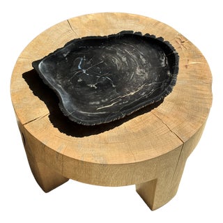 Large Trinket Tray in Black Petrified Wood For Sale
