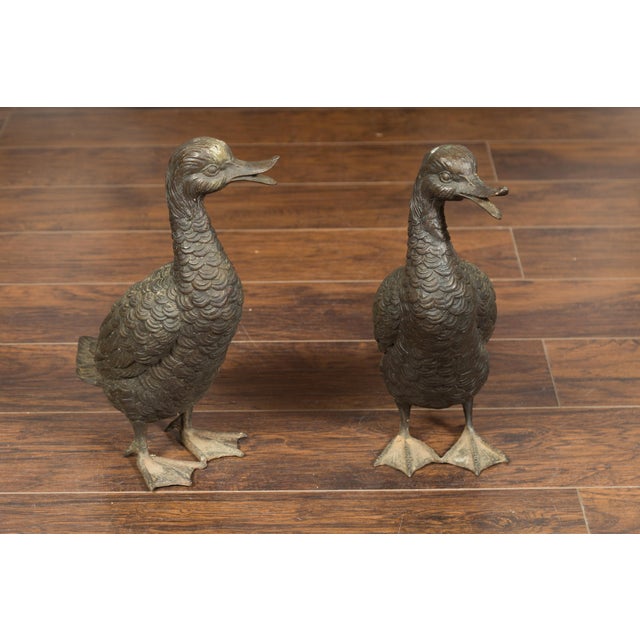 Metal Vintage Bronze Ducks Standing on Their Palmed Feet, circa 1940 - a Pair For Sale - Image 7 of 12