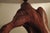 Mid-Century Modern Sculptural Olive Wood Table Lamp, 1960 For Sale - Image 3 of 12