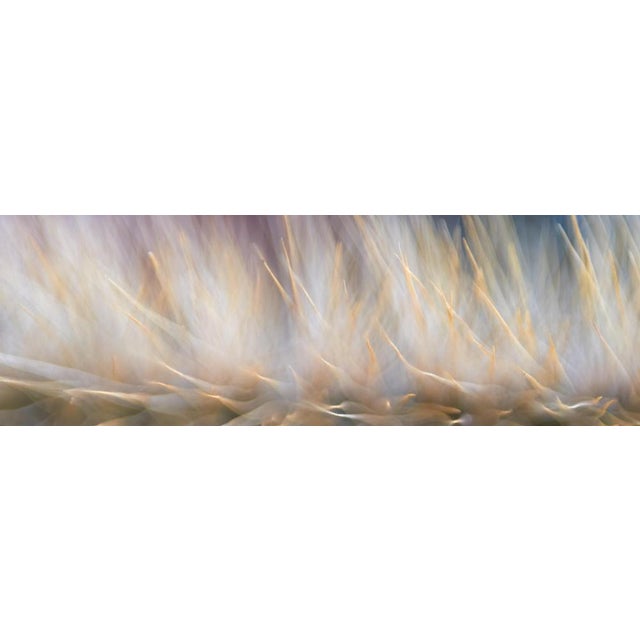 Contemporary Marko Milić, Overdrive, Abstract Photography For Sale - Image 3 of 5