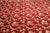 Textile 8x10 Deep Red & Gold Chinoiserie Rug | 8'2"x10'3" Hand-Knotted Afghan Wool For Sale - Image 7 of 8