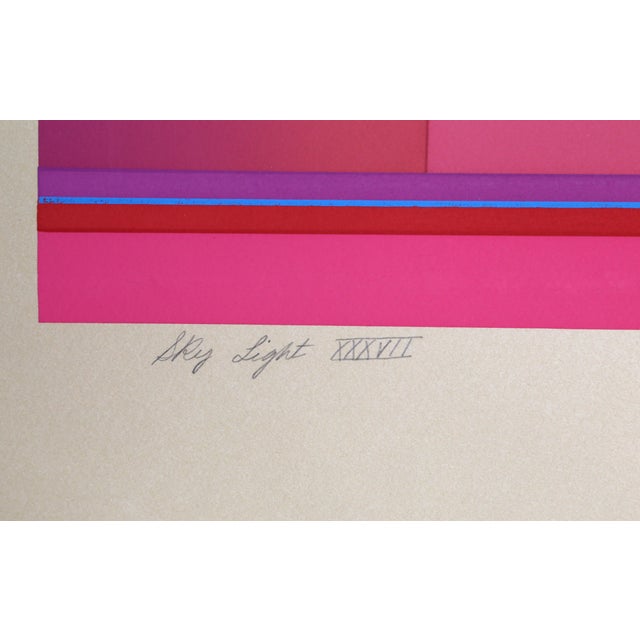 Op Art Skylight Xxxvii, Evelyn B. Johnson Screen Print For Sale - Image 3 of 4