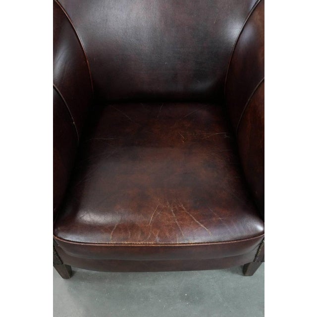 Club Chair in Cowhide For Sale - Image 6 of 16