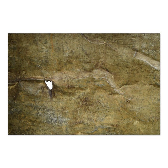 Patinated Wooden Sorting Shelf, 1940s For Sale - Image 3 of 6