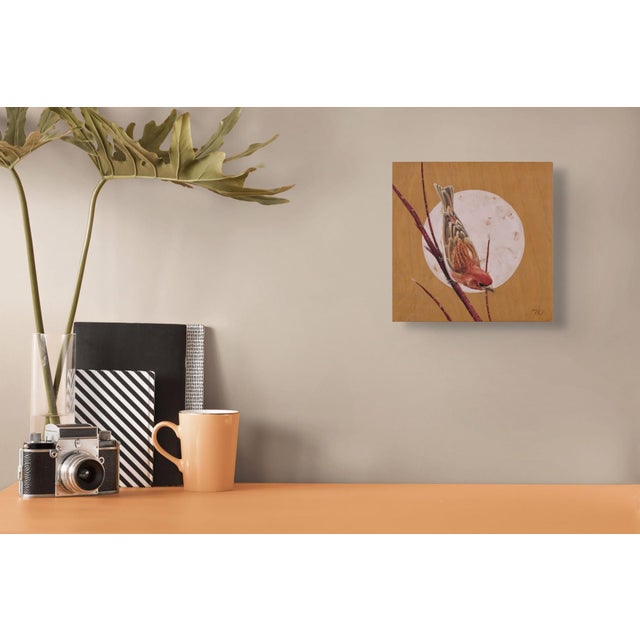 House Finch by Terra Novak | Oil on wood Painting of a finch perched on a branch For Sale - Image 4 of 5