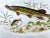 Antique Pike Fish Limoges Made in France Platter For Sale - Image 12 of 12