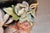 1900 - 1909 19th Century French Majolica Jardiniere For Sale - Image 5 of 13