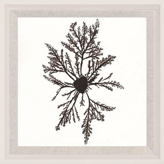 Bradbury Seaweeds 02, Framed Artwork For Sale