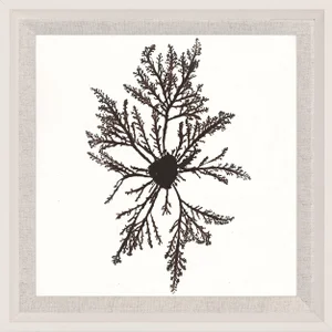 Bradbury Seaweeds 02, Framed Artwork