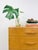 Heywood Wakefield MCM Tallboy 5-Drawer Dresser Pre-Wwii Vintage 32" Wide For Sale - Image 15 of 18
