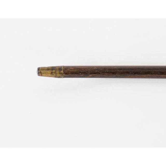 1920s Antique Art Deco Novelty Parrot Walking Stick Cane, 1920s For Sale - Image 5 of 15