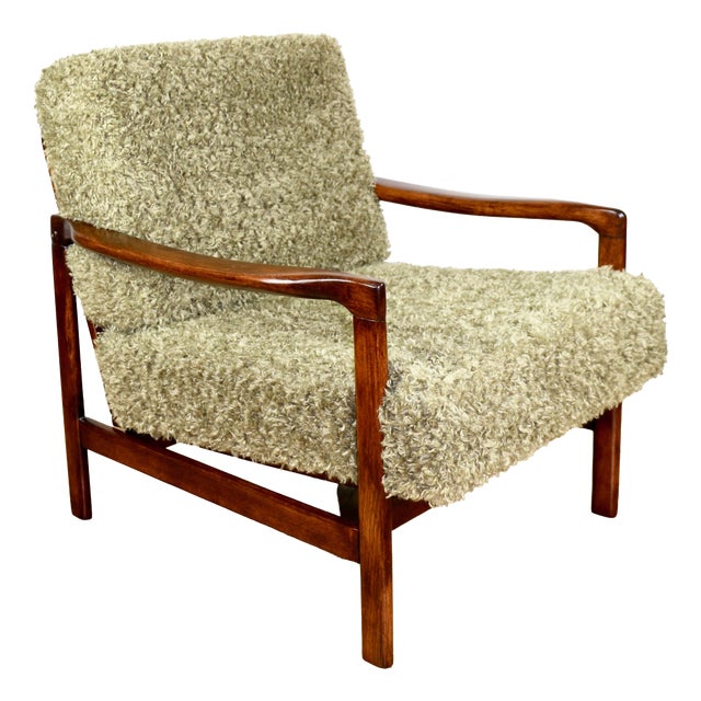 Vintage Brown Lounge Chair by Z. Bączyk For Sale