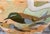 “Little Birds” by LWren Walraven For Sale - Image 4 of 12