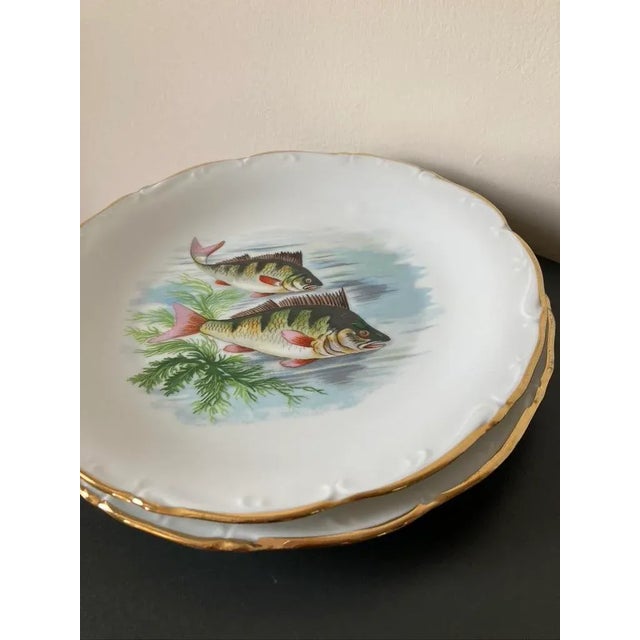 Green Vintage French Porcelain Fish Plates- Set of 2 For Sale - Image 8 of 12