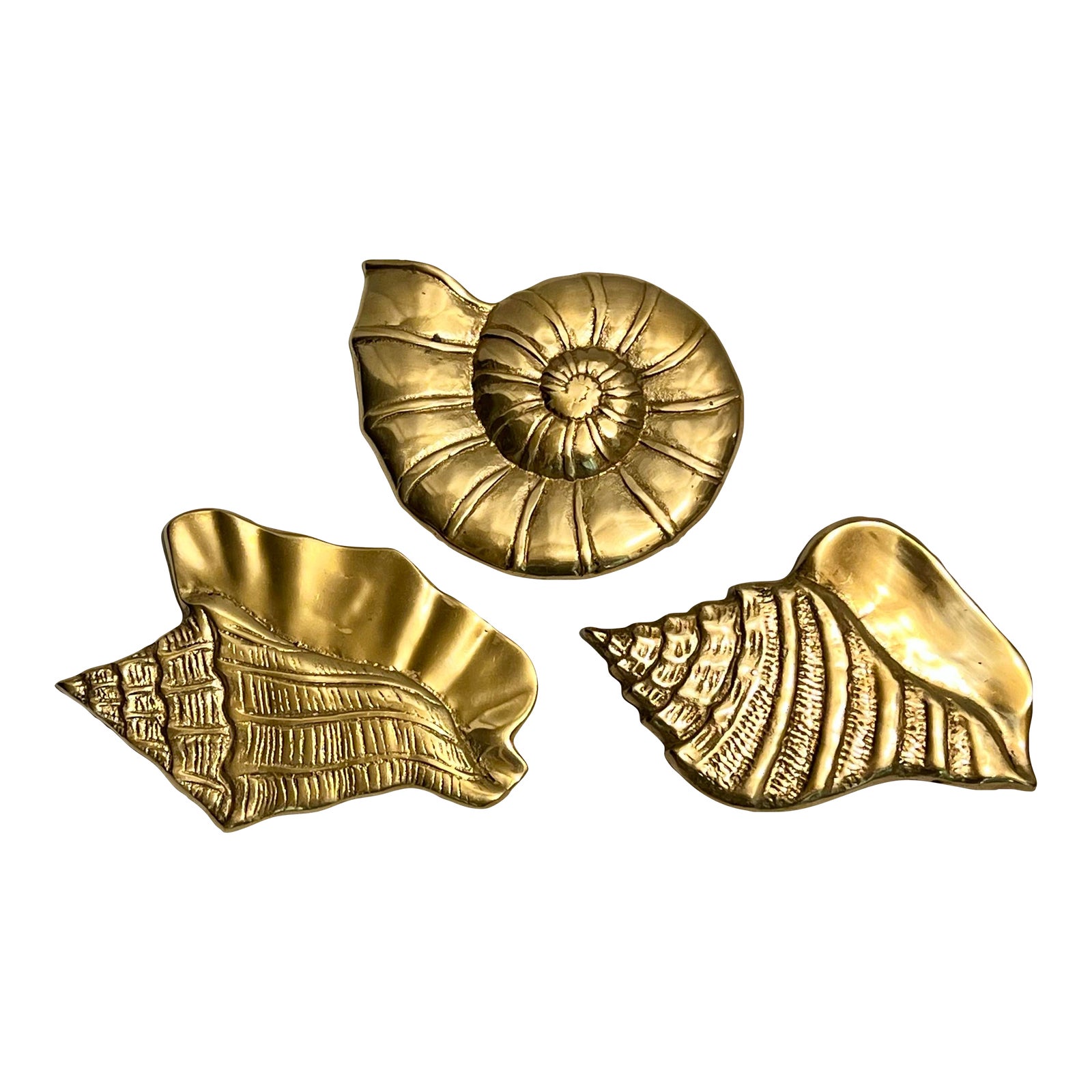 Vintage Palm Beach Regency Polished Brass Sea Shell Wall Decor - Set of ...