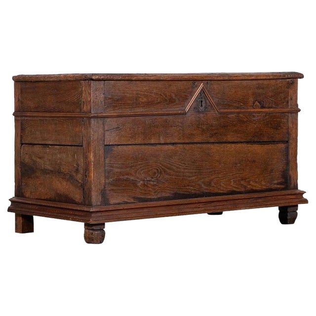 Large French Fruitwood Coffer, 1870s For Sale