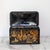 Beautiful antique Japanese hand-painted tea caddy, in great condition. Comes with original key as well.