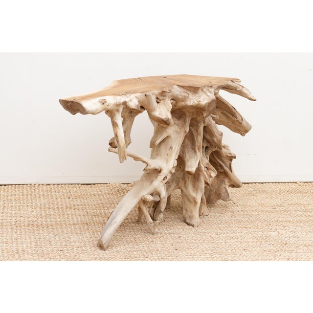Organic Modern Freeform Root Console Table For Sale - Image 9 of 11