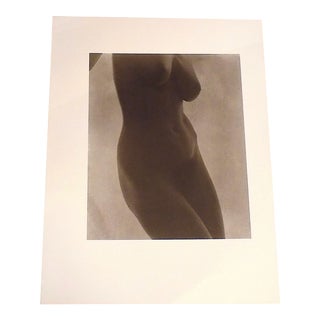 Large Vintage Photogravure-"Georgia O'Keeffe" by Alfred Stieglitz (Usa 1864-1946) For Sale