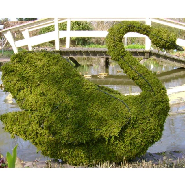 Swan Topiary Frame Sculpture For Sale In San Diego - Image 6 of 6
