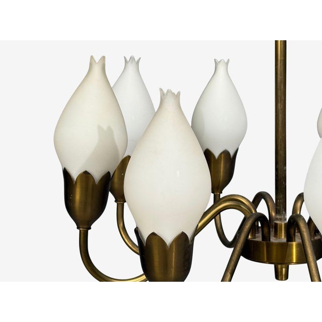 Cream 1950s Mid-Century Modern Fog & Mørup, Tulip Chandelier, Opal Glass, Brass For Sale - Image 8 of 12