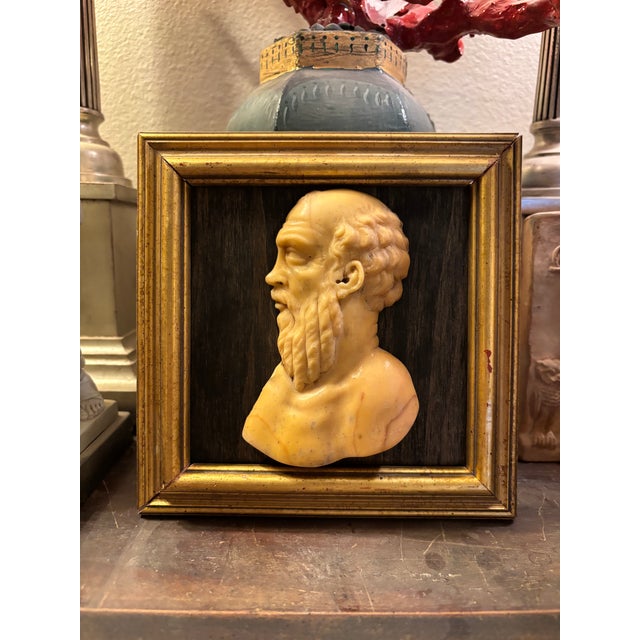 Sienna Early 19th Century Italian Grand Tour Siena Marble Relief Portrait of the Ancient Greek Philosopher Socrates For Sale - Image 8 of 12
