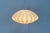 Mid-Century Modern Cocoon Pendant Lamp by Friedel Wauer for Goldkant Leuchten, Germany, 1960s For Sale - Image 14 of 18