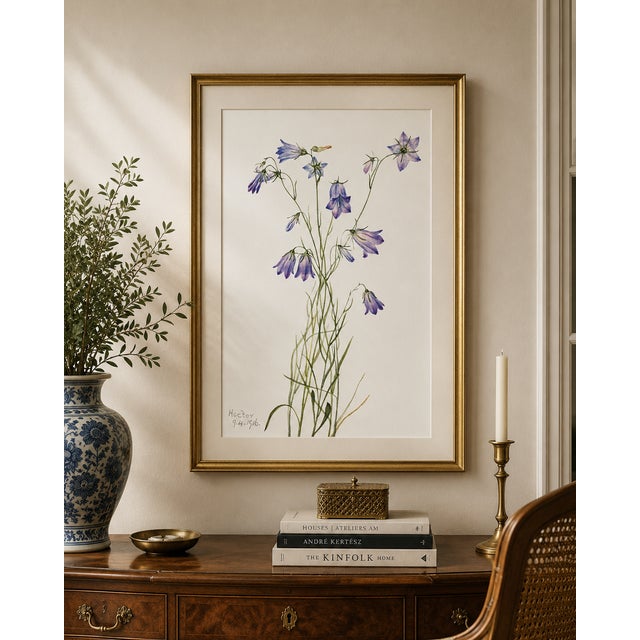 Vintage botanical artwork reproduced from an original illustration by Mary Vaux Walcott and refined for modern printing....