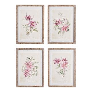 Pink Clematis Prints, Set Of 4 For Sale