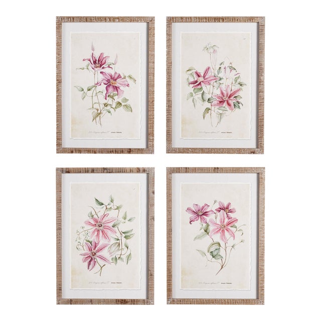 Pink Clematis Prints, Set Of 4 For Sale