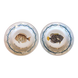 1990s Italian Hand Painted Round Ceramic Fish Wall Plates - Set of 2 For Sale