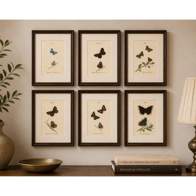 Cabinet-Size Butterfly Engravings with Jewel-Tone Species, Set of 6, 1835 This striking set of six hand-colored butterfly...