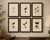 Cabinet-Size Butterfly Engravings with Jewel-Tone Species, Set of 6, 1835 This striking set of six hand-colored butterfly...