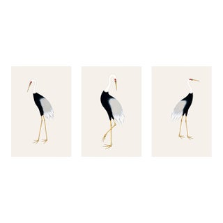 Japanese Crane Triptych, Set of 3 Art Prints, 16" X 24" For Sale