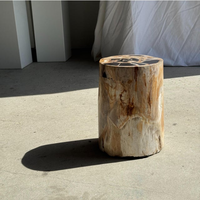 Petrified Wood Side Table For Sale - Image 14 of 18