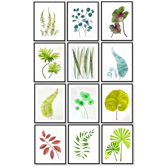 Botanical painted in watercolor on heavy paper. See second photo showing idea for framing in a collection for your wall....