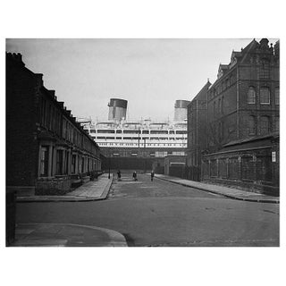 'Dominion Monarch' Unframed Archival Pigment Print For Sale