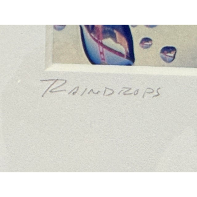 Craig Fonarow Raindrops Color Photograph, Signed For Sale - Image 10 of 12