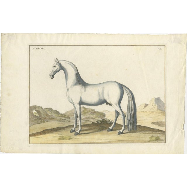 Baron Eisenberg, L'Arabe, 1727, Engraving For Sale - Image 3 of 11