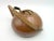 Wood Vienna Teapot by Carl Auböck, 1950s For Sale - Image 7 of 11