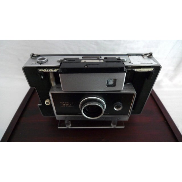 1960s 1960s Polaroid Land Camera 250 in Wood & Acrylic Display Case For Sale - Image 5 of 10